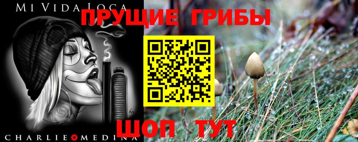 Галлюциногенные грибы мухоморы Южноуральск