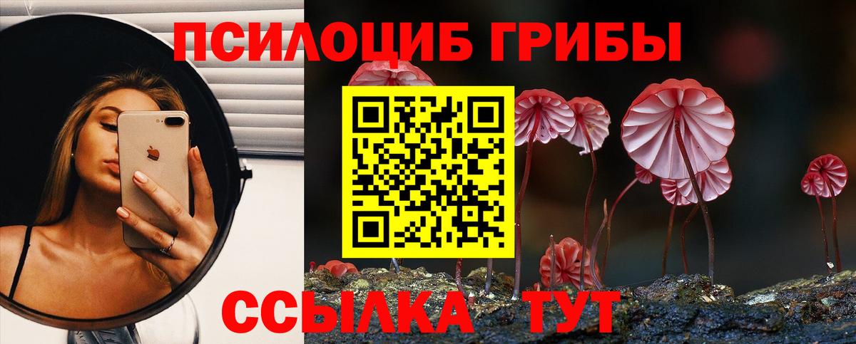 Псилоцибиновые грибы мицелий  Вход с VPN  наркотики  Южноуральск  Псилоцибиновые грибы мицелий 